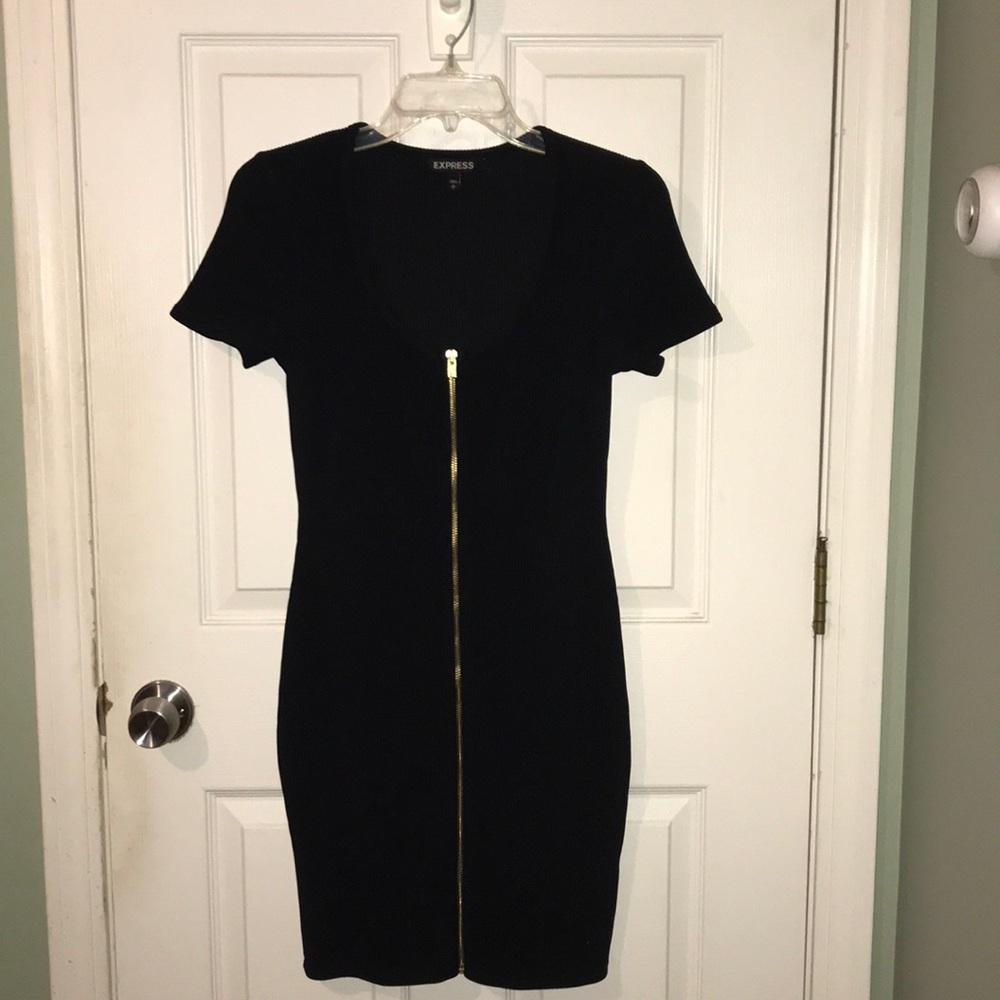 Short sleeve bandeau, front zip Express dress.